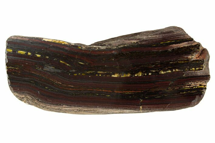 Polished Tiger Iron Stromatolite Section - Billion Years #314328